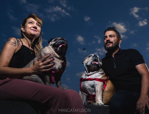 Fotos de mascotas Reus Tarragona V&A