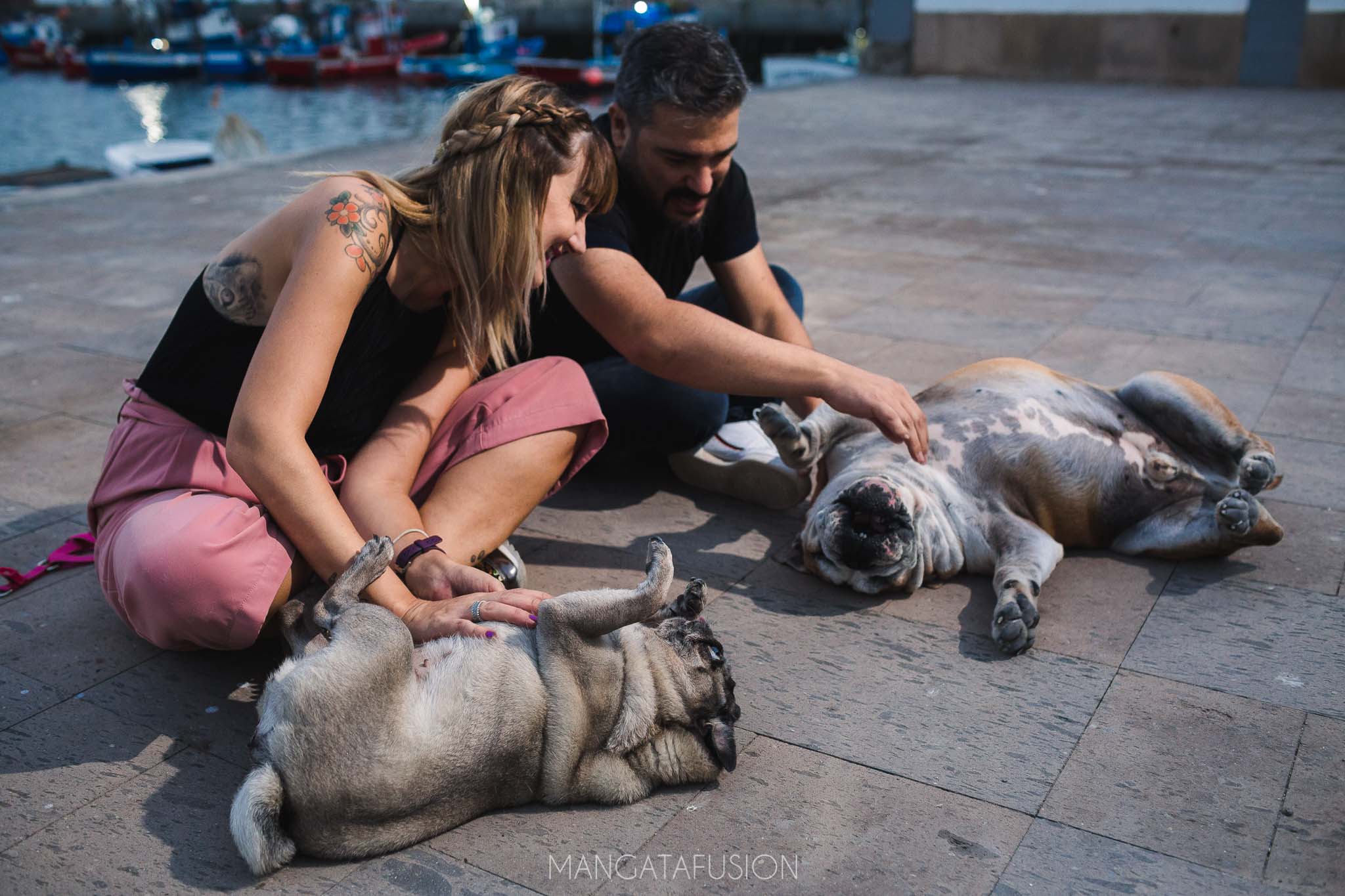 Fotos de mascotas en Reus Tarragona